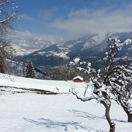 Ferienwohnung Mitterleithengut Zell am See Eksteriør billede