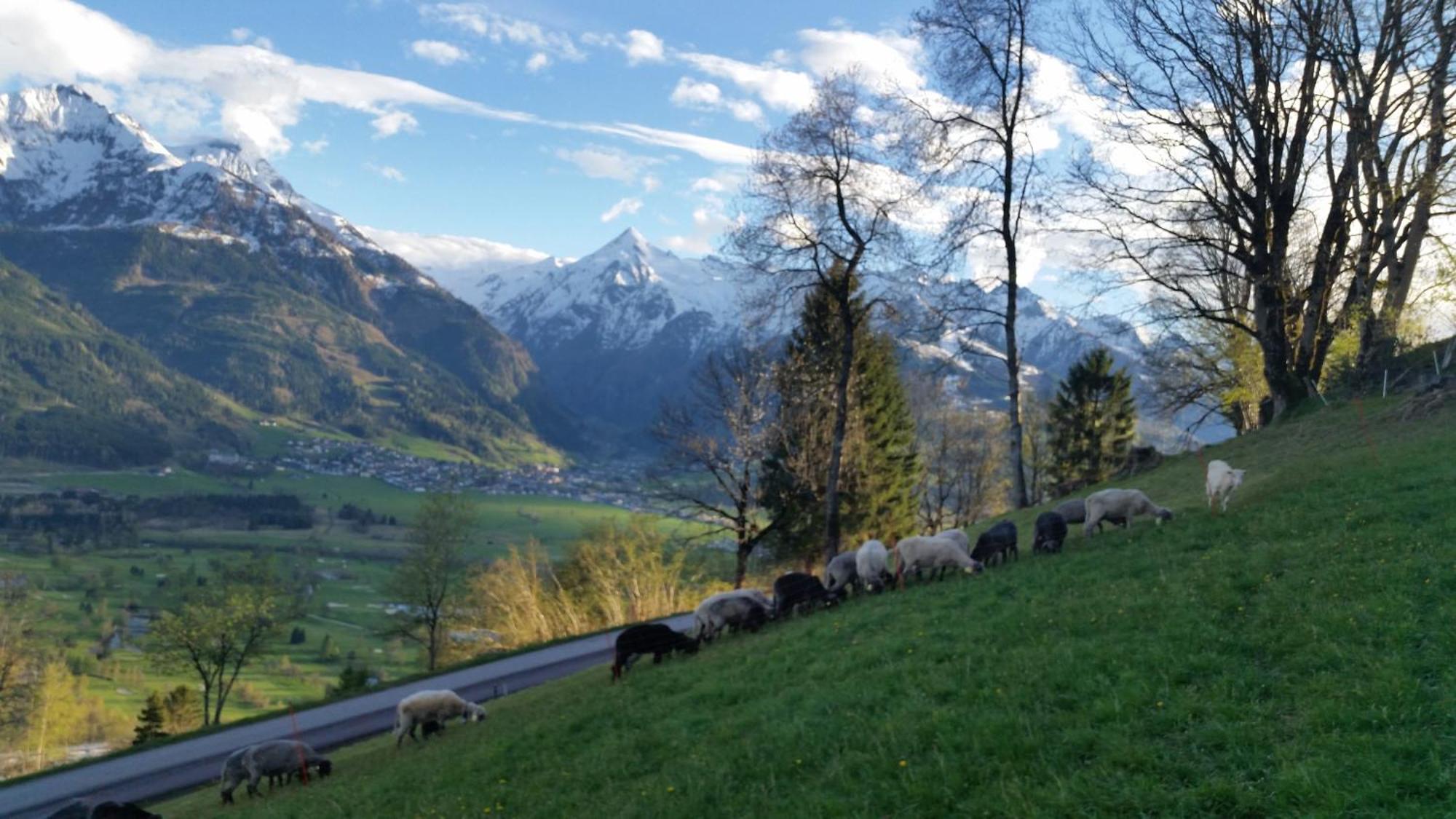 Ferienwohnung Mitterleithengut Zell am See Eksteriør billede