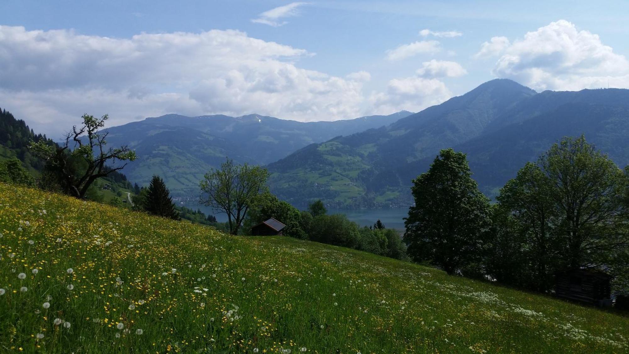 Ferienwohnung Mitterleithengut Zell am See Eksteriør billede