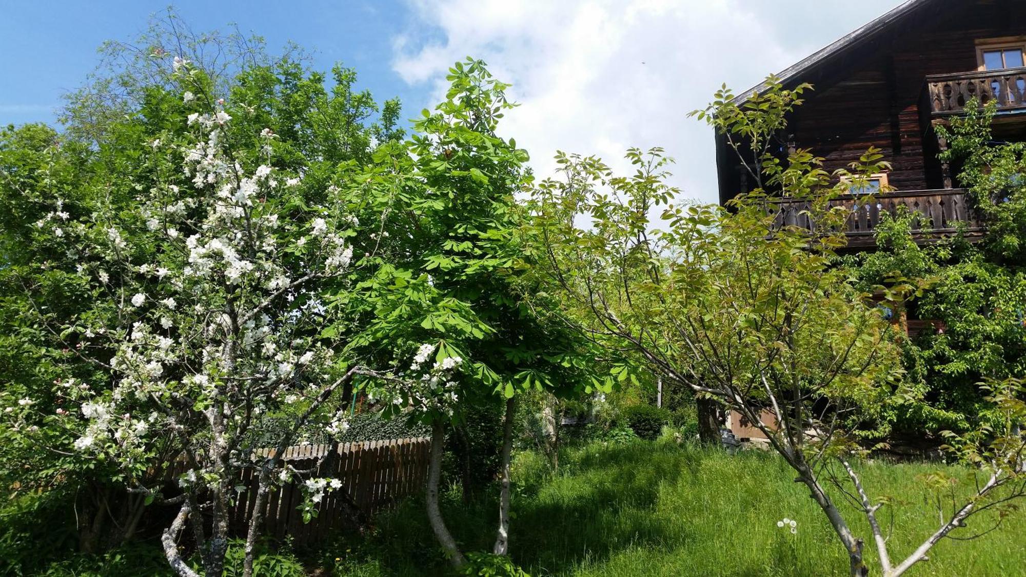 Ferienwohnung Mitterleithengut Zell am See Eksteriør billede